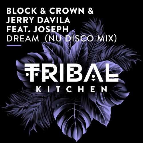 Block & Crown, Jerry Davila, Joseph - Dream (Nu Disco Mix) [TK257]